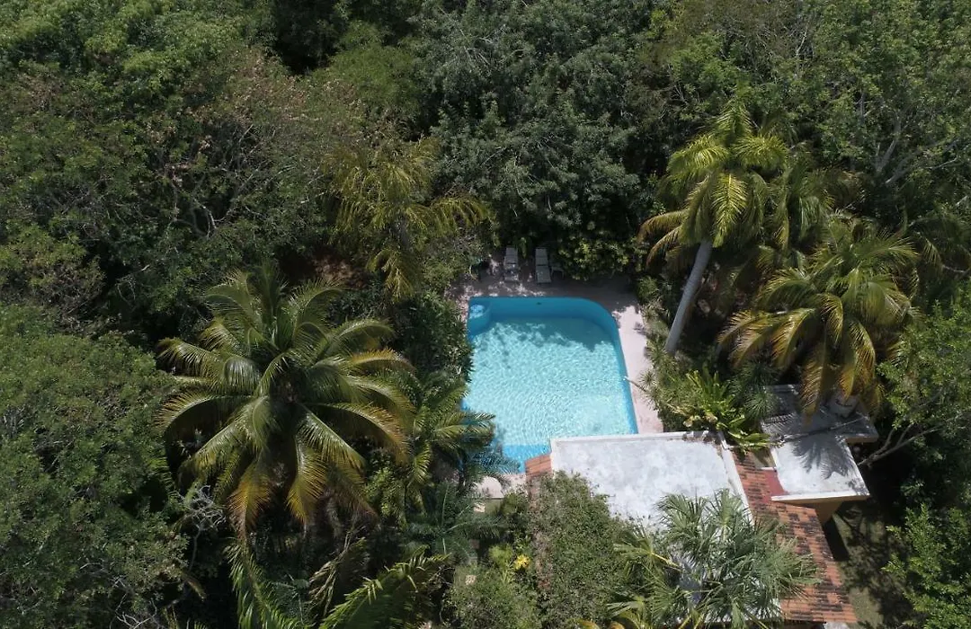 Casa Kin33-1
